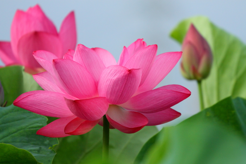 �X���C�h�V���[�\���̈�