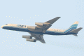 8c-dc-8-62cf-n41cx.gif